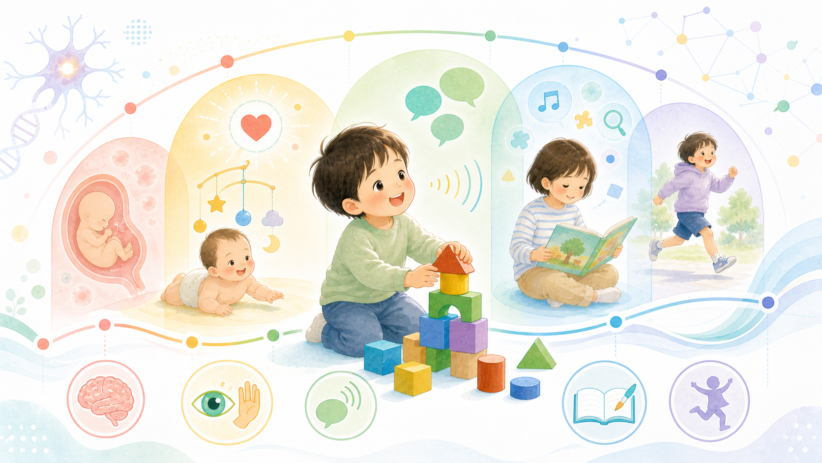 子どもの発達の時期ごとの学びやすさを、成長の窓と曲線で表したイラスト
